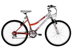 24"18 speed Mountain bike